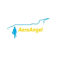 AeroAngel logo - Similar company to Blue Horizon Software Holdings