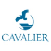 Cavalier Group of Companies logo - Similar company to Develop Innovation Together (Pvt) Ltd.