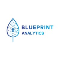 Blueprint Analytics B.V. logo - Similar company to Blueprint Analytics