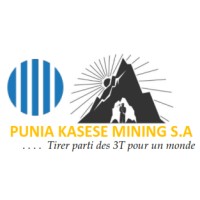 Punia Kasese Mining S.A logo - Similar company to Cabindi Commodities Pty
