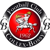 FC Collex-Bossy logo - Similar company to Datasphere Initiative