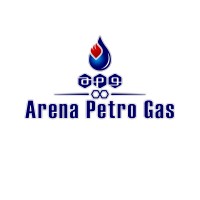 Arena Petro Gas Co. logo - Similar company to Digipetro
