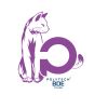 BDE Polytech Tours logo - Similar company to Touraine Tech