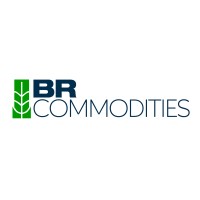 BR Commodities logo - Similar company to Chickplease!