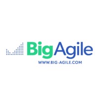 Big Agile logo - Similar company to Bizzynow