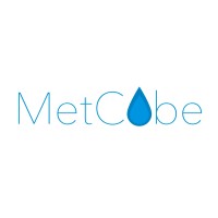 Metcube logo - Similar company to Metbix🎮