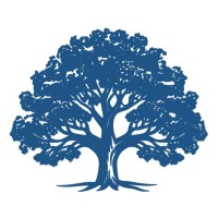 Kings Branch Data logo - Similar company to Spurline Solutions