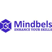 Mindbels logo - Similar company to Lvt Labs