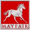 Mayfair Vermögensverwaltungs SE logo - Similar company to Vation