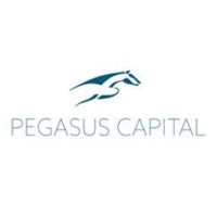 Pegasus Capital logo - Similar company to Vermilion Capital Management Limited