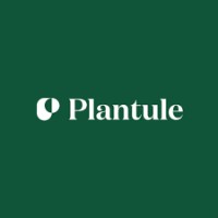 Plantule Pillows logo - Similar company to Klub Zabawkowy