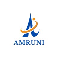 Amruni IT Solutions Private Limited logo - Similar company to Deft360 It Solutions
