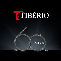 Tibério Construções e Incorporações S/A logo - Similar company to Lilo.Think