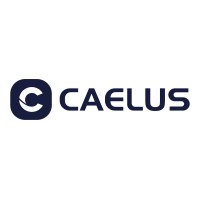 CAELUS INTELLIGENT logo - Similar company to Caelus Labs