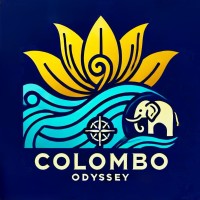 Colombo Odyssey logo - Similar company to Prime Innovative Technologies (Pit)