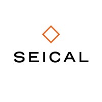 Seical logo - Similar company to Da Silva Sa