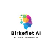 Birkeflet AI logo - Similar company to Rapid Media