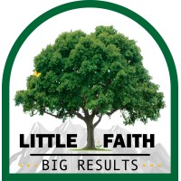 Little Faith Big Results logo - Similar company to Saul'S Light Foundation