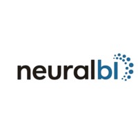 NeuralbI logo - Similar company to Neuralbi