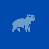 Capy Capital logo - Similar company to M&A Fabric