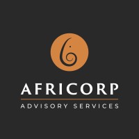 Africorp Advisory Services logo - Similar company to Paradavisual
