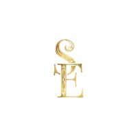 Salomons Estate logo - Similar company to Drain Detectives