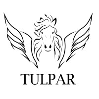 TULPAR CONSULTANCY logo - Similar company to Fortify Freight