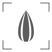 SEEDED digital logo - Similar company to Webrankify