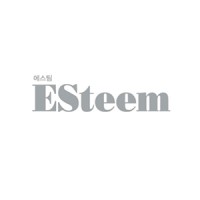 ESteem logo - Similar company to Esteem