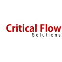 Critical Flow Solutions logo - Similar company to Cleverbits.Ai