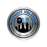 Detroit Voltage logo - Similar company to N.F.L.