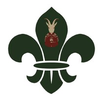 Scouts Of Albania logo - Similar company to Digital Roots Albania