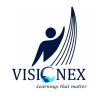 VisioneX Academy logo - Similar company to National Institute Of Skills Training