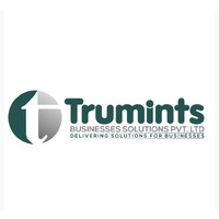 Trumints Business Solutions Pvt Ltd logo - Similar company to Hellobot