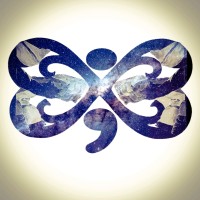 The Butterfly Effect Foundation