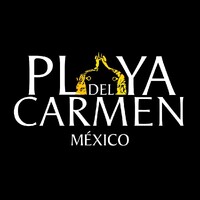 Playa del Carmen México PDCMX Media Digital S.A.S DE C.V. logo - Similar company to Tulum Design Festival