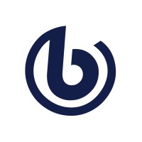 Broad Group Ltd logo - Similar company to Bcore Digital 远大芯建数字科技有限公司