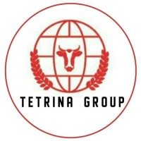 Tetrinagroup logo - Similar company to Digidam