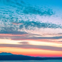 D.N.A.R.E logo - Similar company to Z-Ultimate Self Defense Studios Headquarters