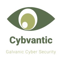 Cybvantic Limited logo - Similar company to Blueberrybytes