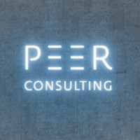 Peer Consulting logo - Similar company to Weishaupt Consulting