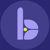 BridgeBloom logo - Similar company to Lucas Brand Equity