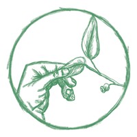 Forest Farm logo - Similar company to Korganics