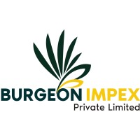 Burgeon Impex Private Limited logo - Similar company to Global King Exim
