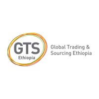 GTS Ethiopia logo - Similar company to Amrach.Net