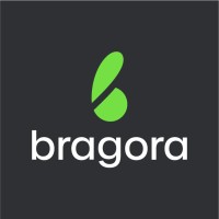 Bragora logo - Similar company to Prophet One