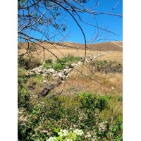 Solar Sonoma County logo - Similar company to Le Solar