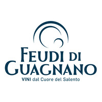 Feudi di Guagnano srl logo - Similar company to Yoovant
