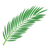 Ivy Insights logo - Similar company to Triwise