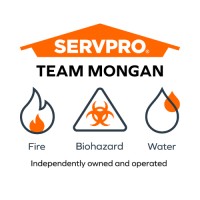 SERVPRO TEAM MONGAN logo - Similar company to Power Services Incorporated